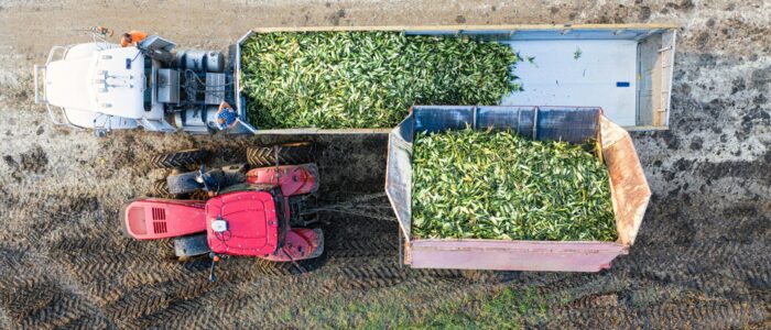 Veicoli agricoli Elimina i residui carboniosi che rallentano il motore Riduce le emissioni nocive nei campi Migliora la combustione e la risposta del motore Allunga la vita utile del mezzo